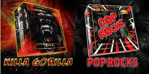 pop rocks killa gorilla summer edition