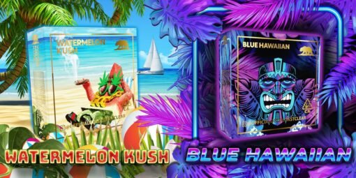 watermelon kush blue hawaiian summer editon